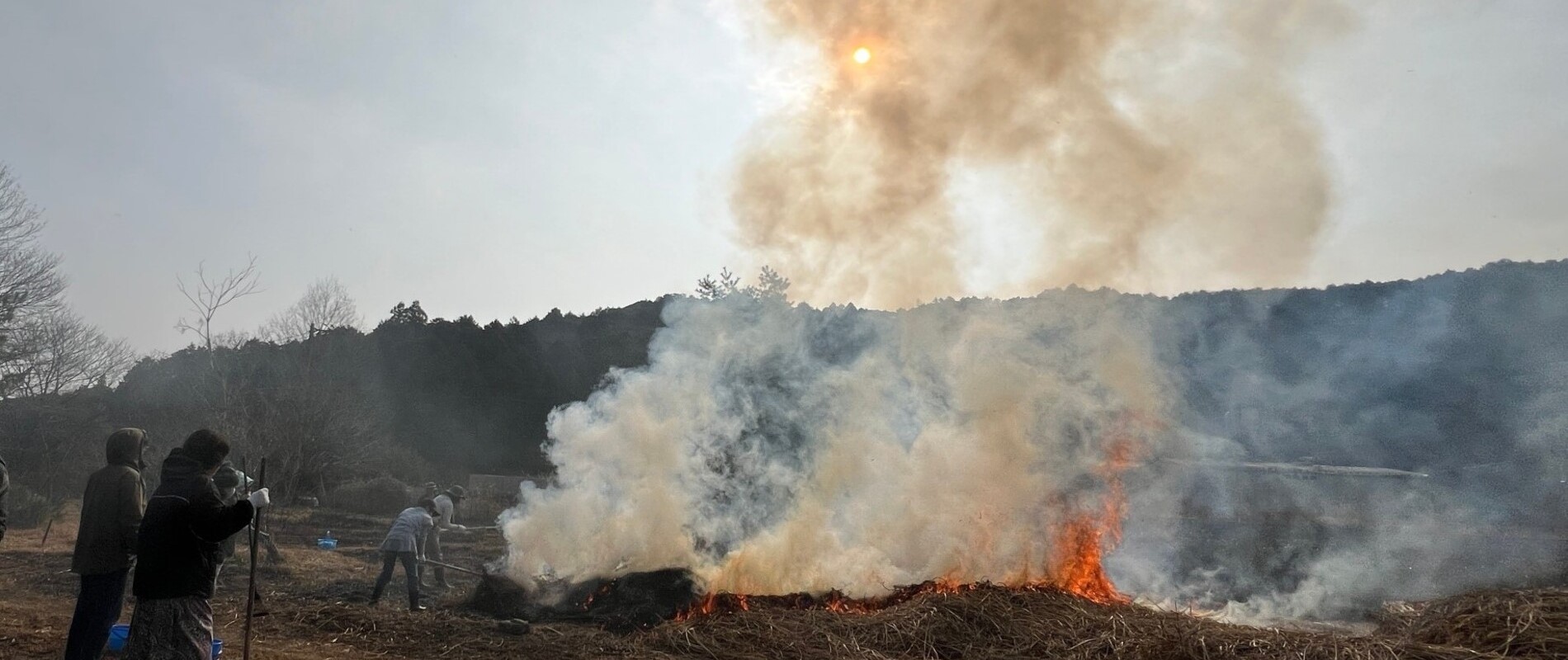 遠山自然公園 　野焼き