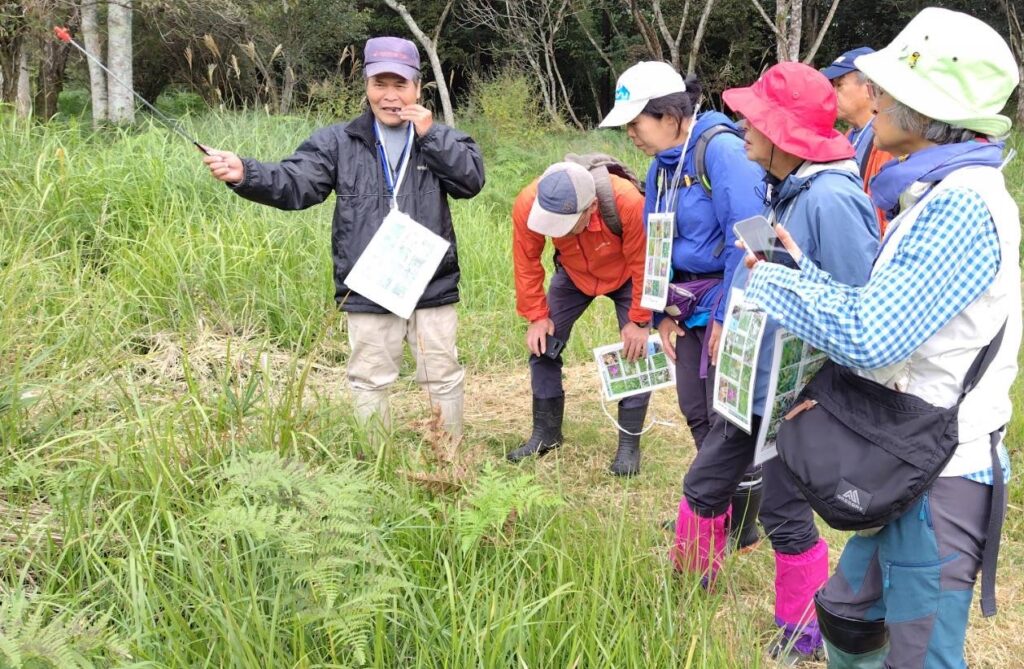 植物観察会の様子