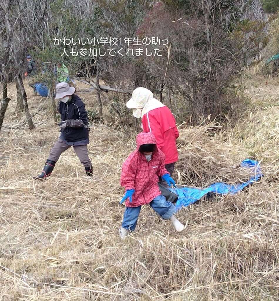 野焼き用の草集め1-4