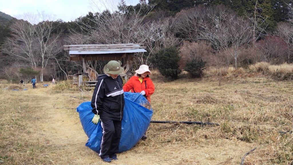野焼き用の草を運ぶ
