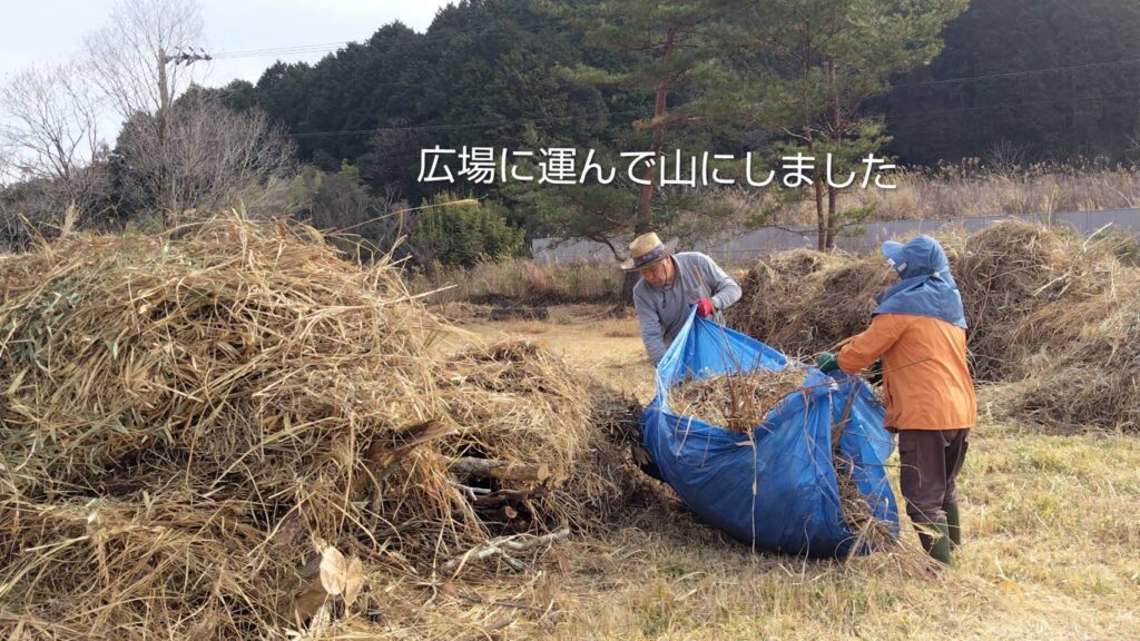 野焼き用の草を集め広場に運んで山にする