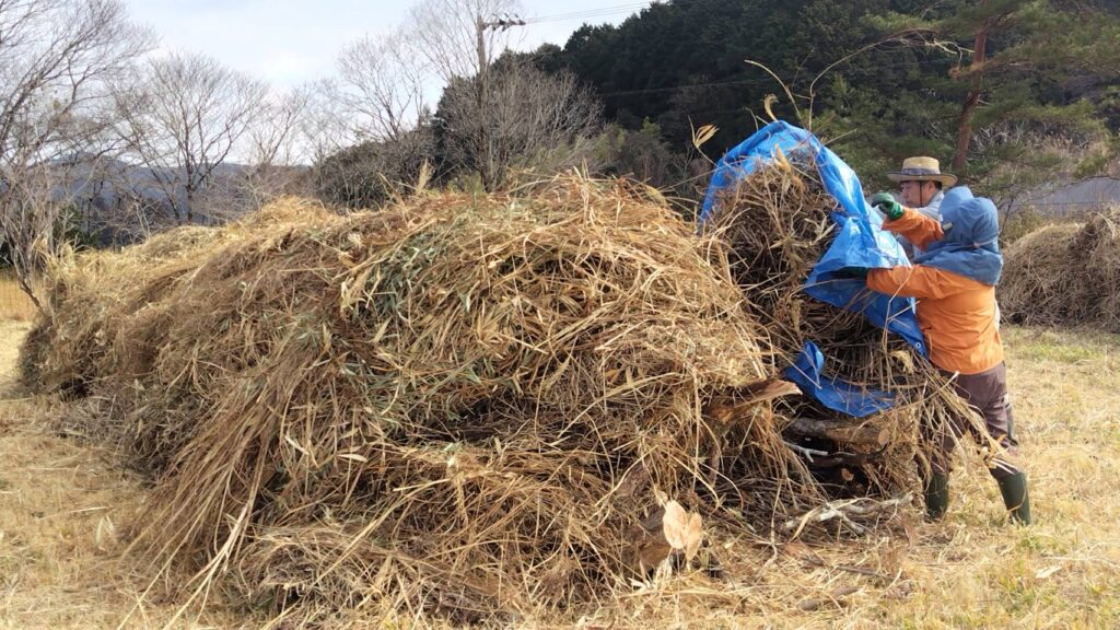 野焼き用の草を集めて山にする様子