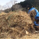 野焼き用の草を集めて山にする様子