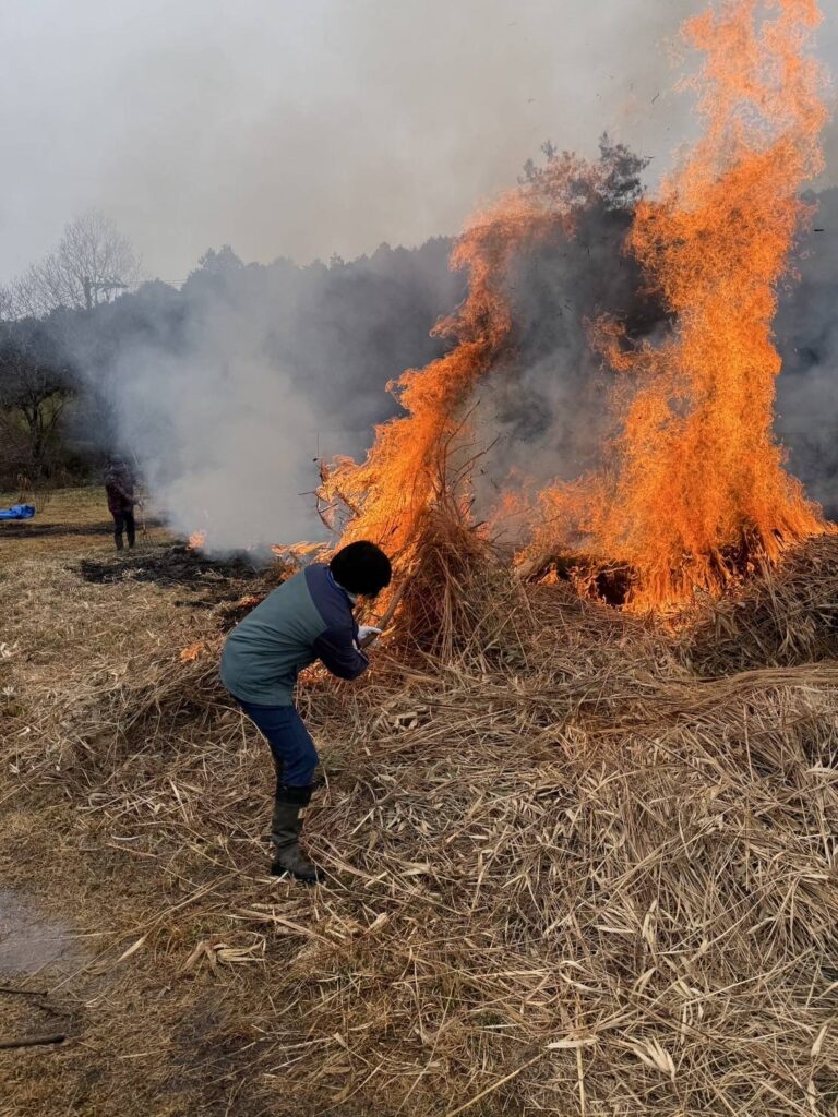 遠山の野焼き
