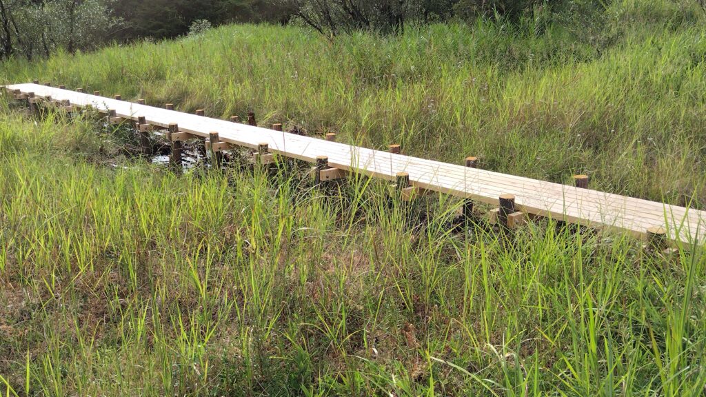 遠山自然公園の木道