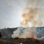 2025遠山自然公園野焼き